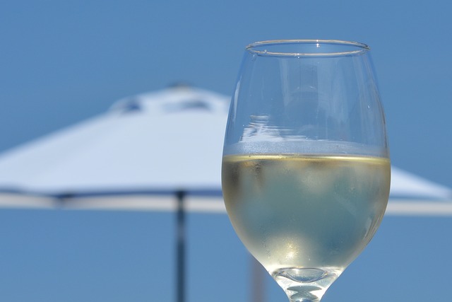 Opdag hemmelighederne bag den bedste serveringstemperatur for hvidvin med en vinkøler